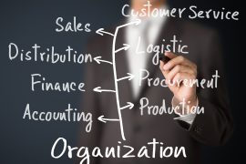 Organizational_Structures Organizational_Structures